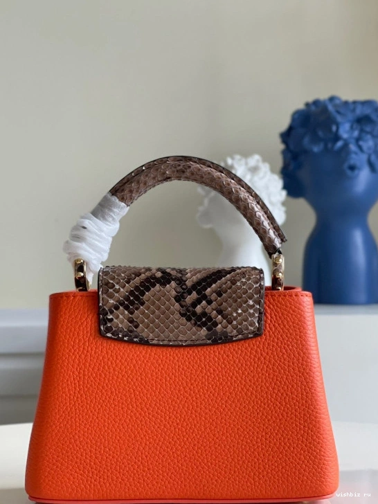 WIS VUITTON CAPUCINES MINI LOUIS 0111